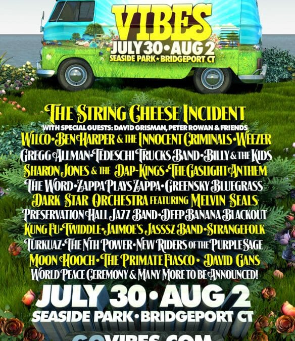 Gathering of the Vibes 2015 VW Van Flyer