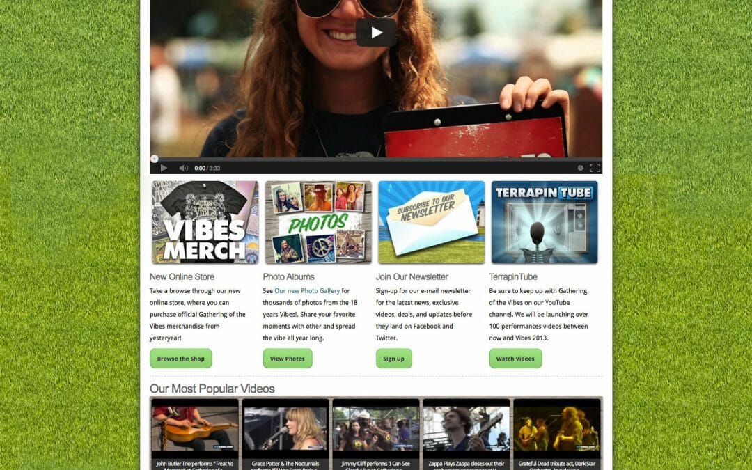 Vibes 2013 Website